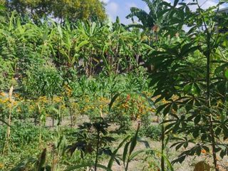 Tanah sangat bagus, lingkungan villa di Sanur Bali
