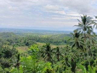 Tanah Kebun dengan view super bagus
