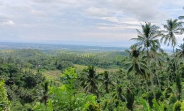 Tanah Kebun dengan view super bagus