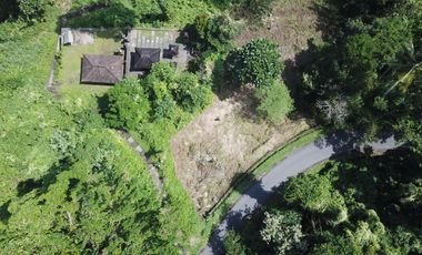 BUC Tanah Bonus Bangunan Villa di Tegallalang Gianyar