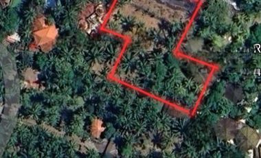 Turun harga Tanah pinggir pantai lingkungan villa  cocok buat Resort