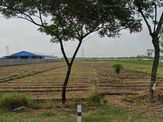 Tanah di Brebes cocok untuk gudang dan pabrik