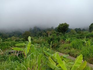 Tanah kawasan sejuk dan alami di daerah danau Bedugul, Buleleng