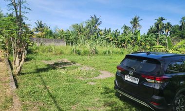 2 Are lingkungan villa di saba Gianyar Bali