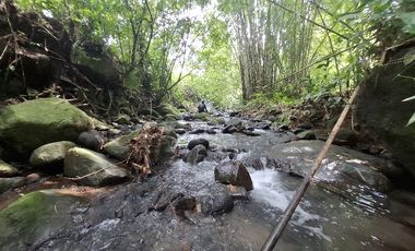 Dijual tanah los sungai dan view sawah di tabanan bali