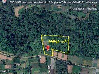 Tanah super view gunung dan terasering sawah di bedugul