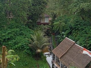 tanah murah   view sawah di tegalalang ubud