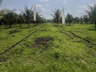 Tanah Kavling Harga Promo 29 juta