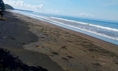 TANAH 1.2 HEKTAR LOS PANTAI PREMIUM DI MELAYA JEMBRANA