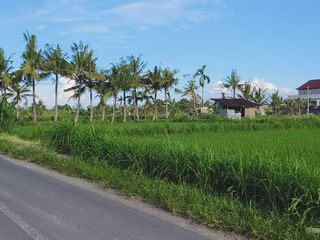 BUC 11 Are Pinggir jalan Utama Kawasan Villa di Pering Gianyar