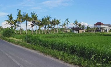 BUC 11 Are Pinggir jalan Utama Kawasan Villa di Pering Gianyar