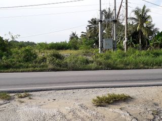 Tanah di sewakan di Pekanbaru jl Lintas timur kulim