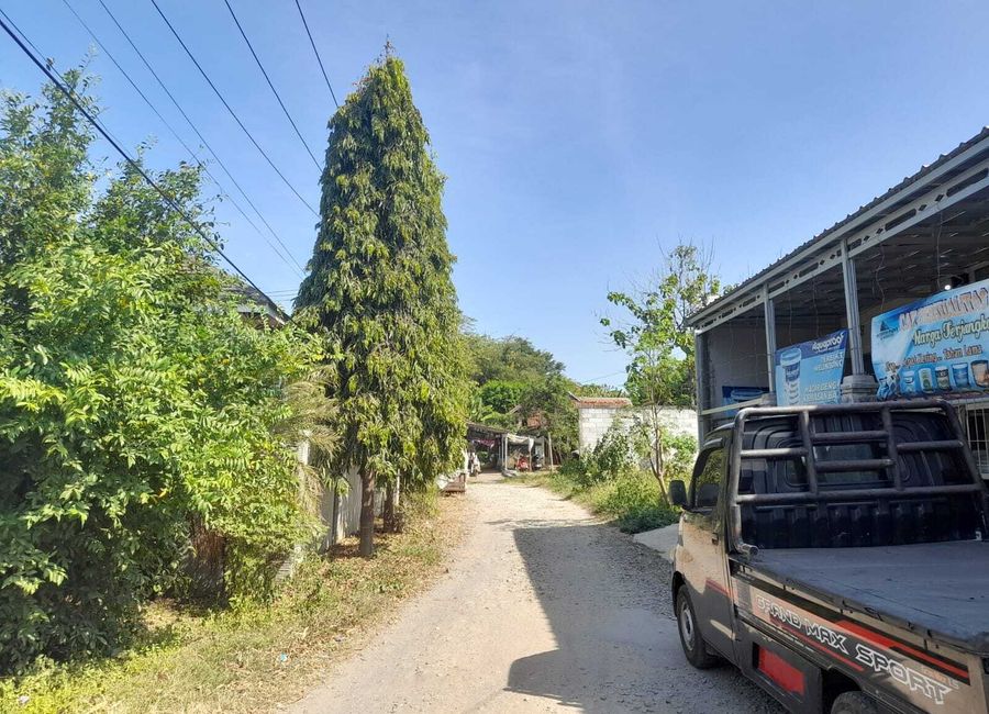 place photo 5