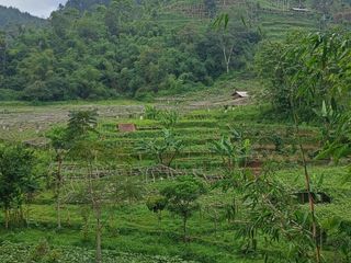 Tanah daerah Ciwidey Bandung view cantik cocok u/pertanian,wisata