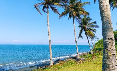 TANAH 2.16 HEKTAR LOS PANTAI/BEACHFRONT CUPEL JEMBRANA BALI