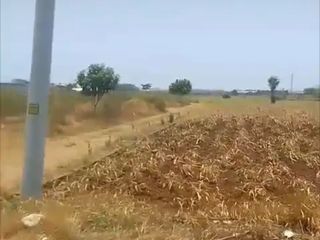 DIJUAL LAHAN INDUSTRI 8 - 15 HA, KALINYAMATAN, JEPARA. LAND FOR INDUSTRY, WAREHOUSE & FACTORY IN CENTRAL JAVA.