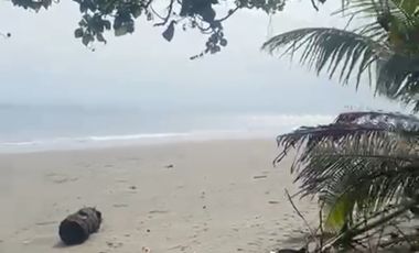 TANAH 60 ARE LOS PANTAI SUMBER SARI MELAYA, LINGKUNGAN VILA