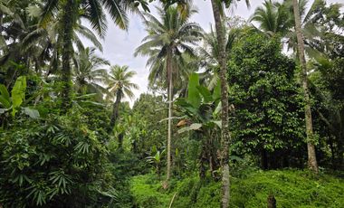 Jual tanah zona yellow dekat villa di tabanan bali