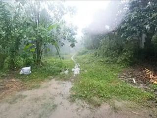 Tanah di Jembrana Negara Bali