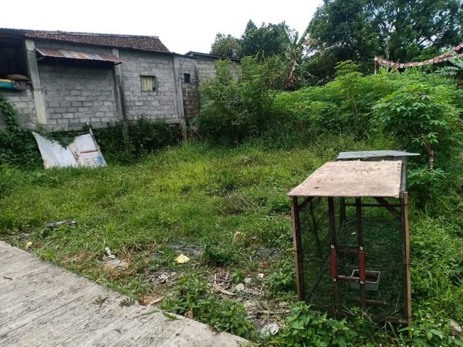 place photo 7