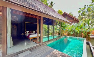 1 Bedroom Villa in Ubud With Jungle And River View