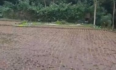 dijual tanah kosong di Purbalingga Jawa tengah