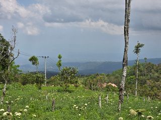 DIJUAL TANAH MURAH DATAR VIEW LEMBAH DAN LAUT DI BALI