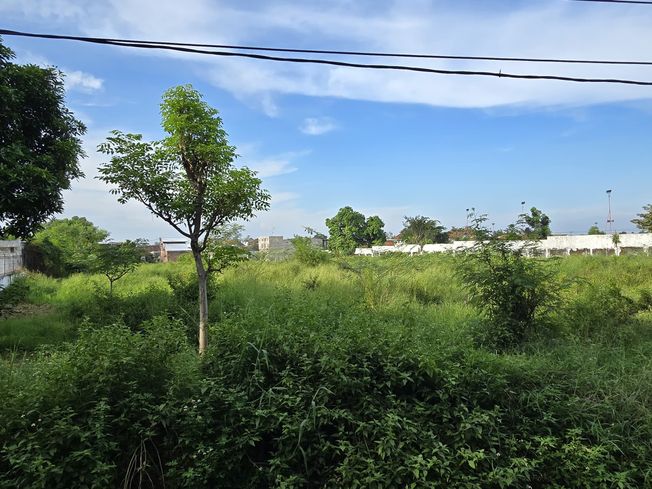 place photo 9