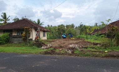 TANAH BONUS RUMAH 8.95 ARE VIEW PEGUNUNGAN DI BERANGBANG JEMBRANA