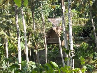 DIJUAL TANAH 30 ARE DI JLN SIULAN DENPASAR TIMUR BALI