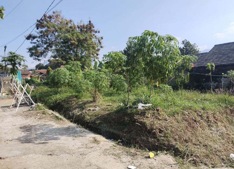 place photo 19