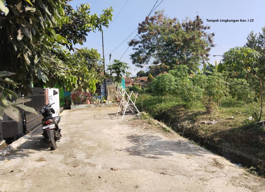 place photo 18