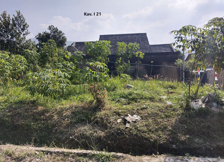 place photo 16