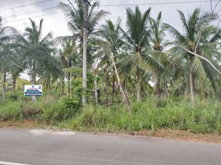 [MP037] Tanah 10.950 m2 Jl. Senggarang - Tanjungpinang