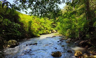 dijual tanah los sungai bebatuan murah view lembah di tabanan bali