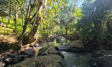 Dijual tanah di bali los sungai dengan view exotik jugle