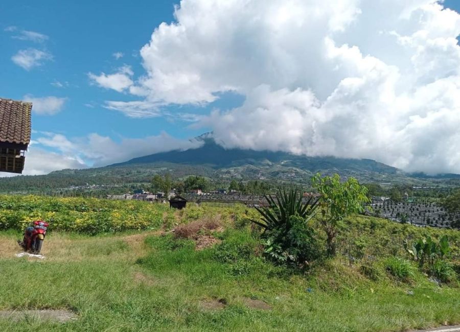 place photo 8