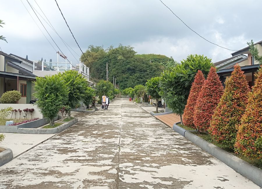 place photo 20