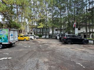 HIDDEN GEM  Satu -Satunya HOTEL  ditengah hutan pinus di Jantung Kota