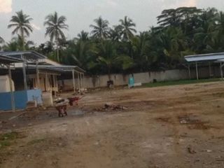 Dijual tanah di mekarsari panimbang  Banten