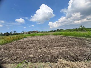Dijual Tanah Ubud 350 m2 sangat strategis View Sawah Aktif