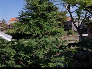 Tanah Komersial 1300m2 di Tengku Umar Barat Bali