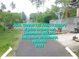 BUC, Jual TANAH MURAH dkt pantai MELAYA JEMBRANA NEGARA BALI, jalan RAYA DPS GILIMANUK masuk 350 mtr