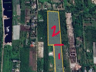 Jl. Cilik Riwut Km.16 luasan 2.7 ha (Ahmad Dody)