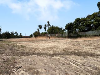 Dijual Tanah Kebun Handil