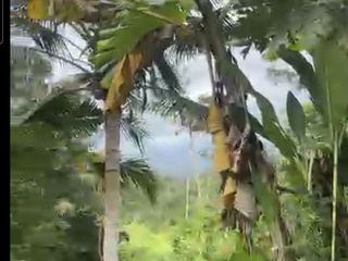 Land 12,6a for Sale at Sidemen Traditional Village Bali
