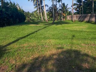 DIJUAL LAHAN KAWASAN UBUD GIANYAR BALI LOKASI MENARIK