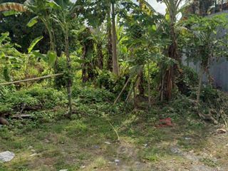 Tanah Murah View Jungle di Sekar Sari Penatih Denpasar