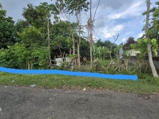 Tanah 927m2 Los sungai besar di Lelateng Jembrana
