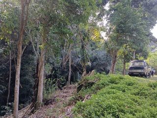 Tanah di Bakbakan Gianyar Bali, View Jungle, SHM Lengkap